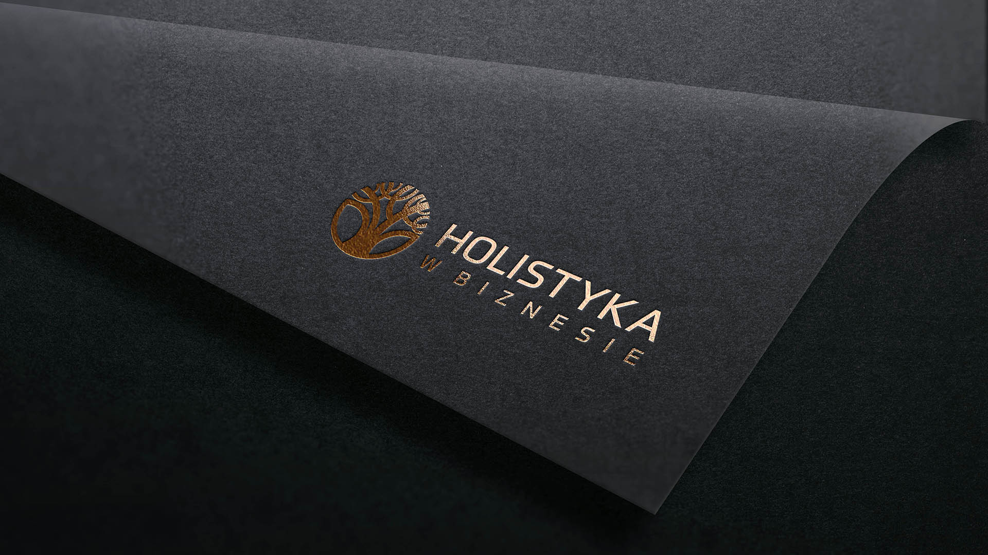 Holistyka w Biznesie logo