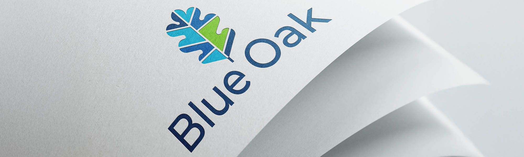 baner mockup blue oak