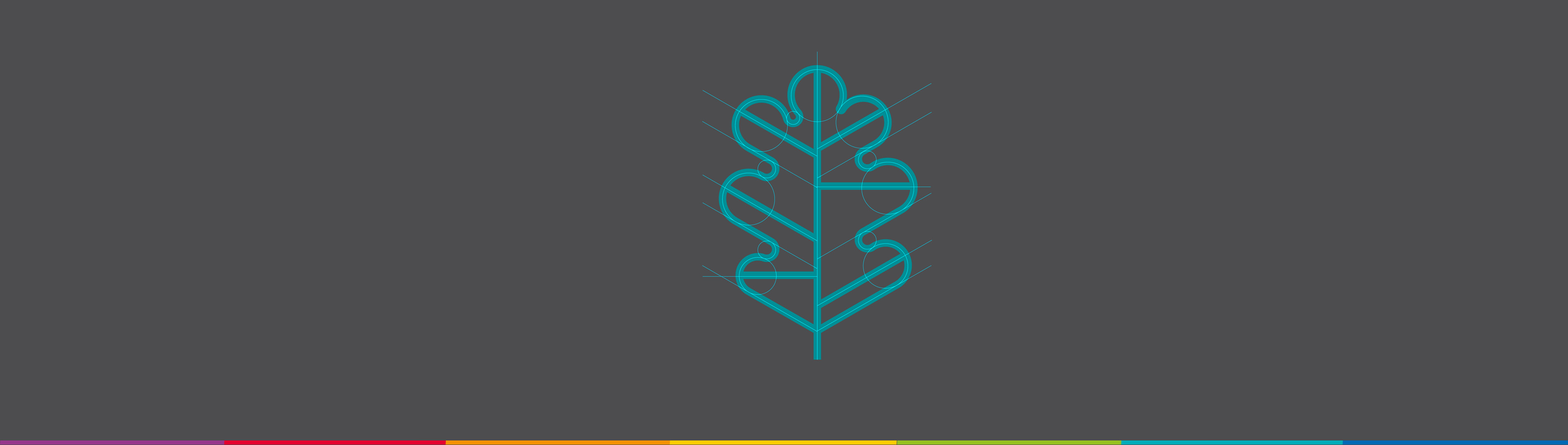 sygnet rysunek blue oak wide