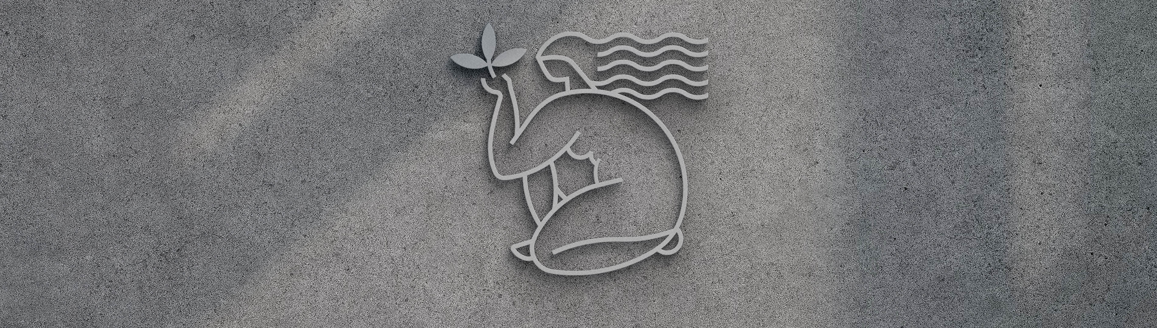 logo baner mockup herebis wide